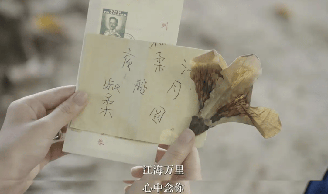 《给阿嫲的情书》